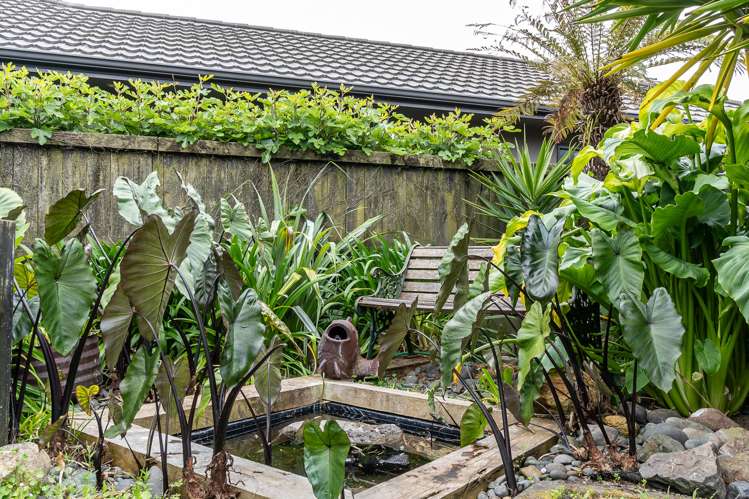 50 Cate Road Rototuna North_16