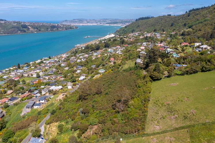 74 Kauri Street Ravensbourne_12