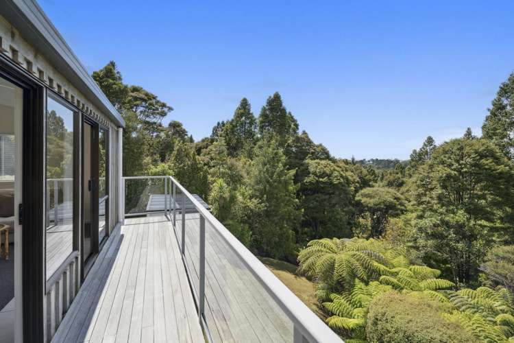 146 Albany Heights Road Albany Heights_12