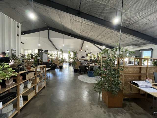 21 Scanlan Street Grey Lynn_3