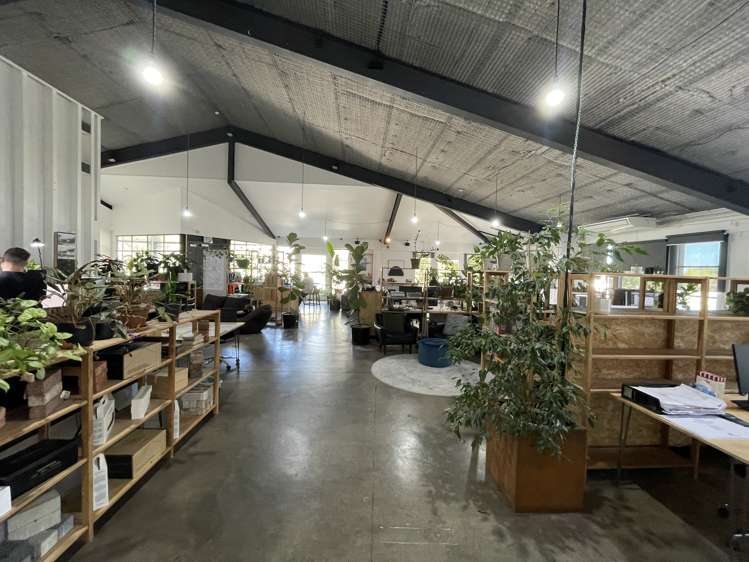 21 Scanlan Street Grey Lynn_3