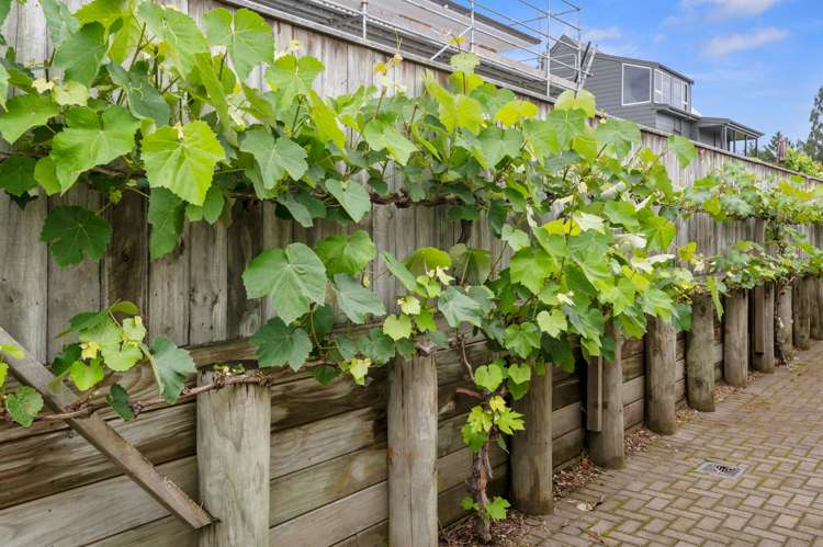 149a Otonga Road Springfield_12