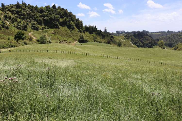 1099 Mataro Road Urenui_22