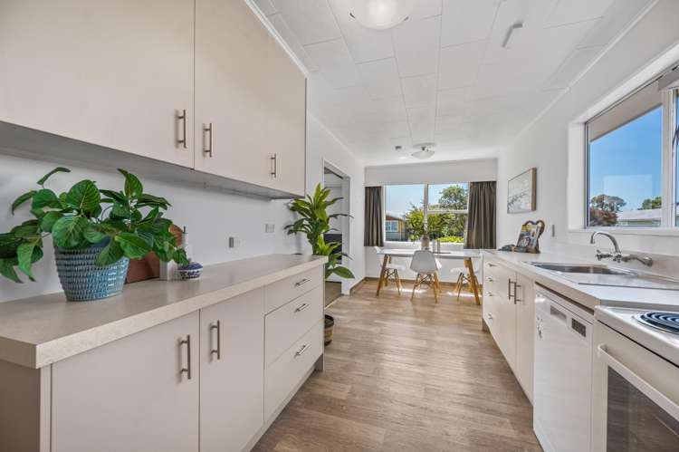 27 Southwark Avenue Tamatea_2