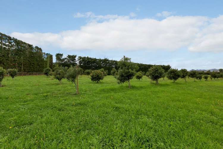 27 Woodward Road Maungatapere_21