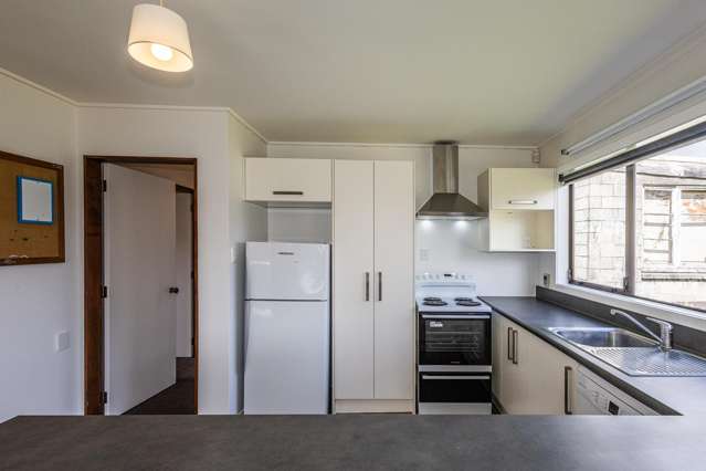 73B Arawa Street Ohakune_2