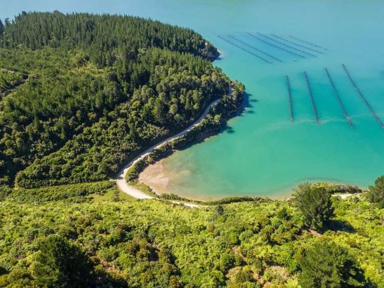 Waitaria Bay Kenepuru Sound_8