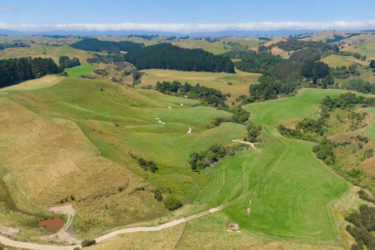 1618 Waituna Tapuae Waituna West_13