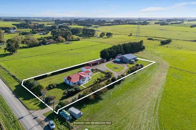 49 Roslyn Road Roslyn Bush_2
