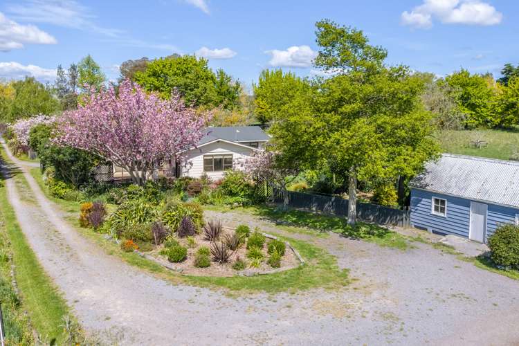 138 Wards Line Greytown_10