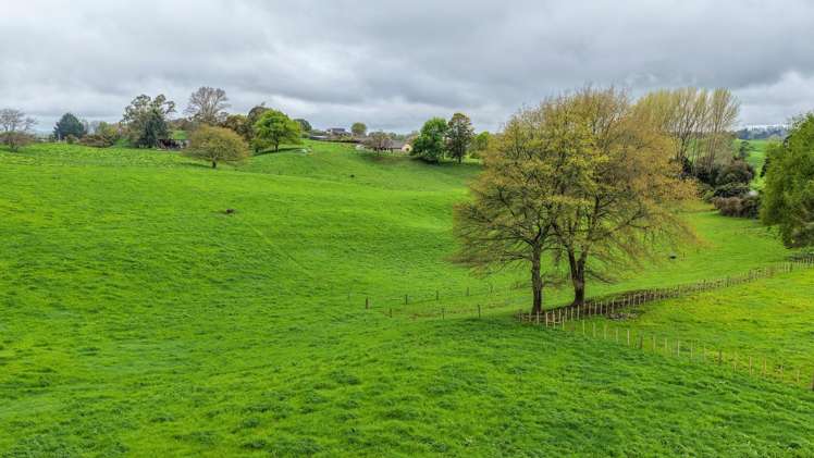 Pine Road Putaruru_3