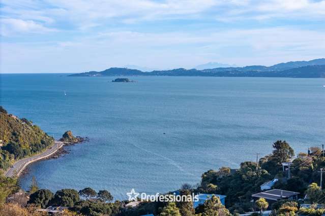 Lot Lot 1/69 Waitohu Road York Bay, Eastbourne_1