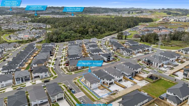 18 Dungloe Avenue Flat Bush_31