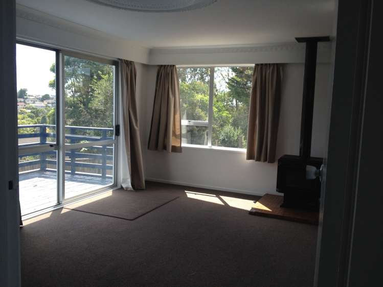 20 Leo Street Glen Eden_7