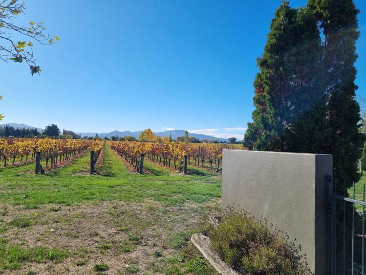 Address withheld Riverlands Marlborough Houses for Rent One Roof