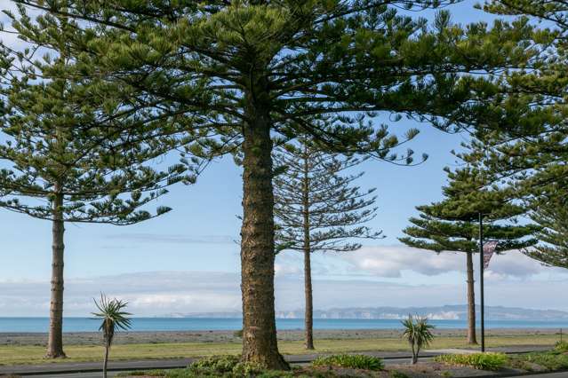 621 Marine Parade Napier South_2