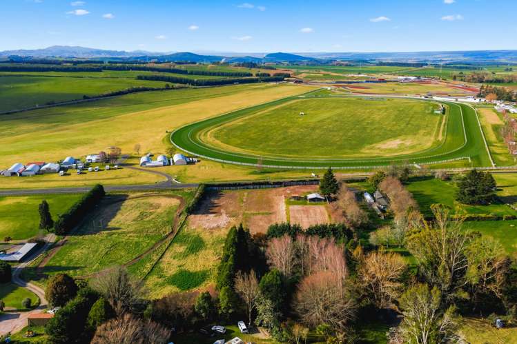 430 Centennial Drive Rotokawa_11