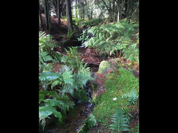 115 Waiare Road Okaihau_22