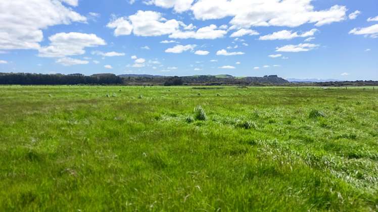 864 Papatotara Road Papatotara_5