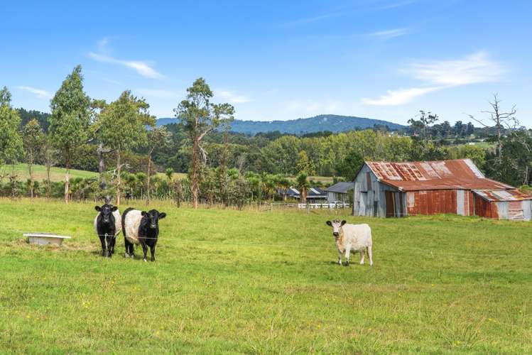 197 Nixon Road Taupaki_11