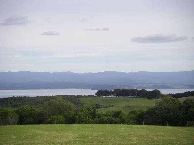 44 Tussock Ridge Kuratau_3