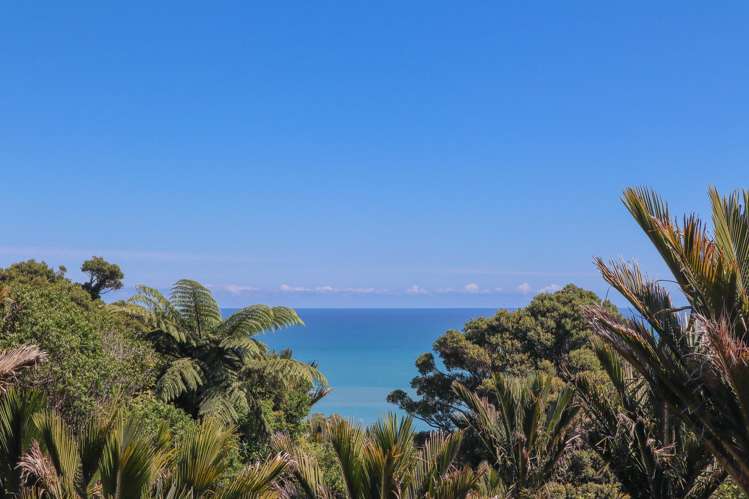 4629 State Highway 6 Te Miko_6