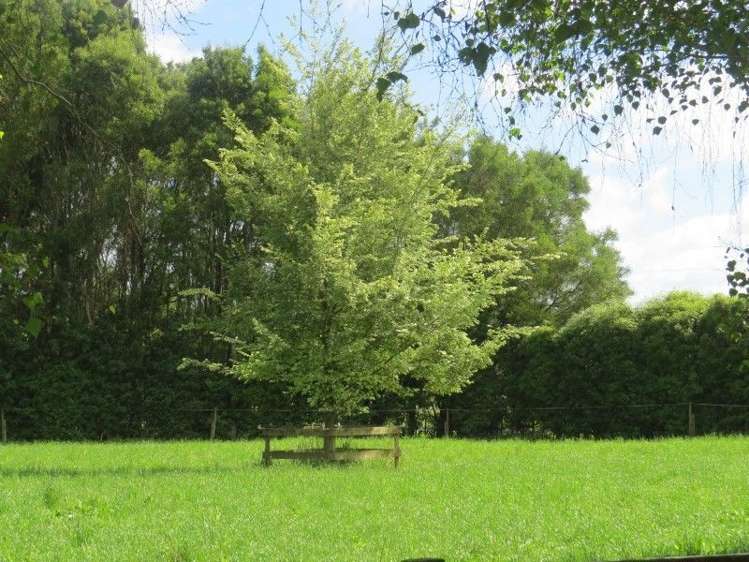 111 Tarr Road Ohaupo_39