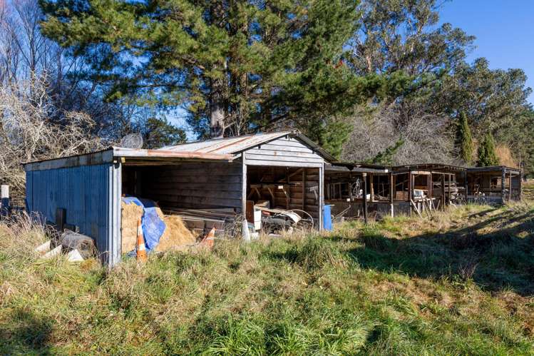 251 Homeview Road Cheviot_21