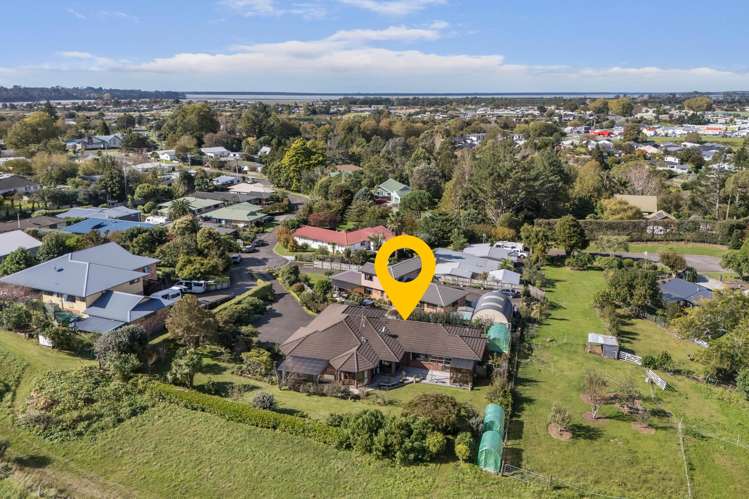 38 MacMillan Street Katikati_2