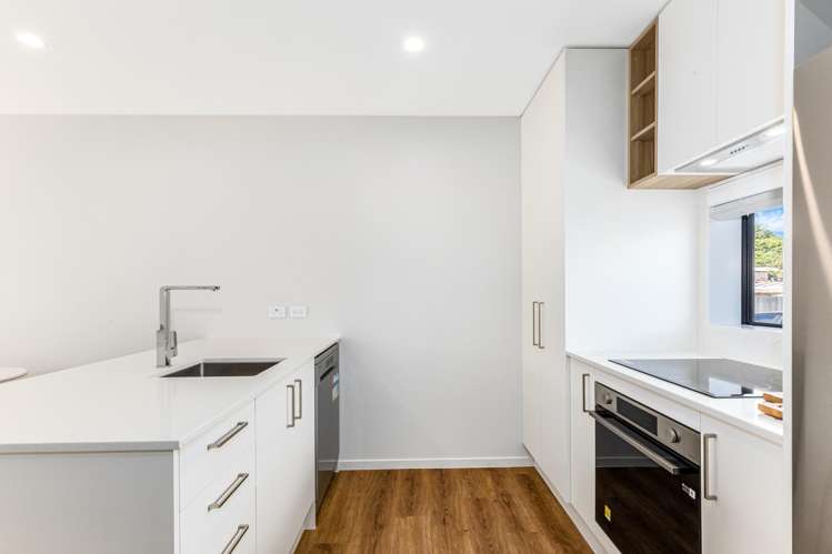 349 Cambridge Terrace_5