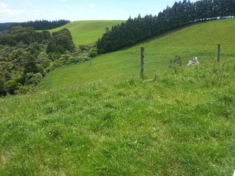 860 Mataro Road Onaero_15