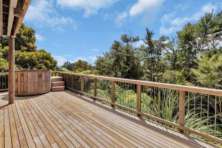 697 Mt Tiger Road Whareora_17