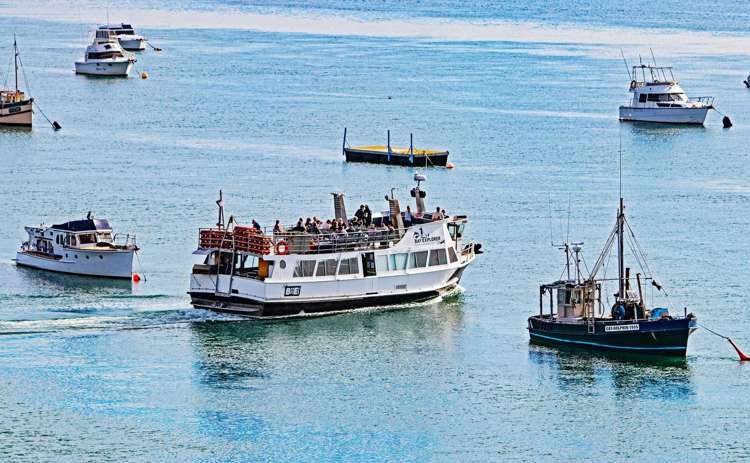 706/72 Devonport Road_23