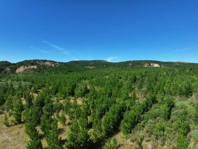 Waitahuna Gully Road Waitahuna Gully_1