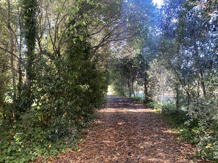 417 Ngaumu Road Wainuioru_27