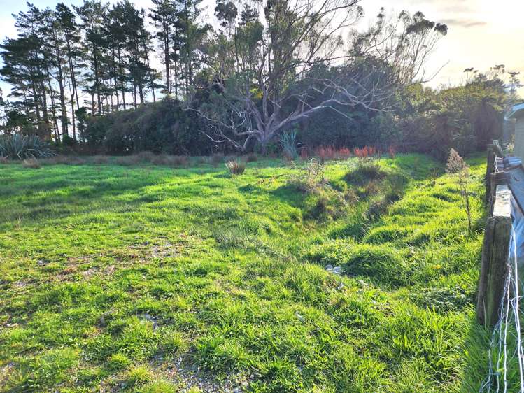 Pandora Avenue Camerons_10