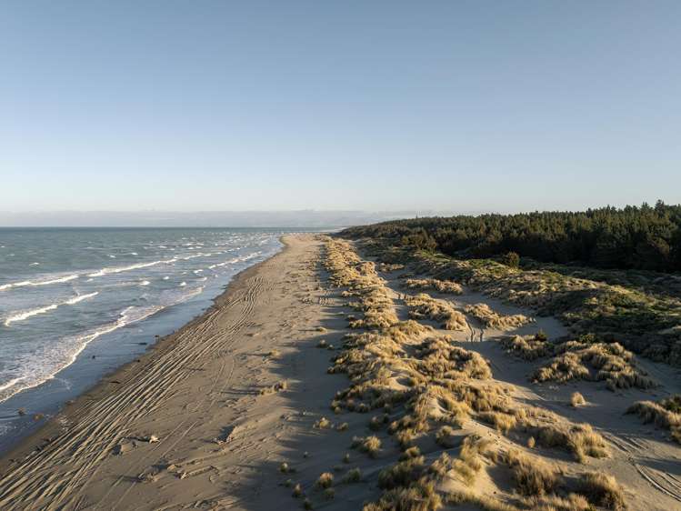 41 Batten Grove The Pines Beach_18