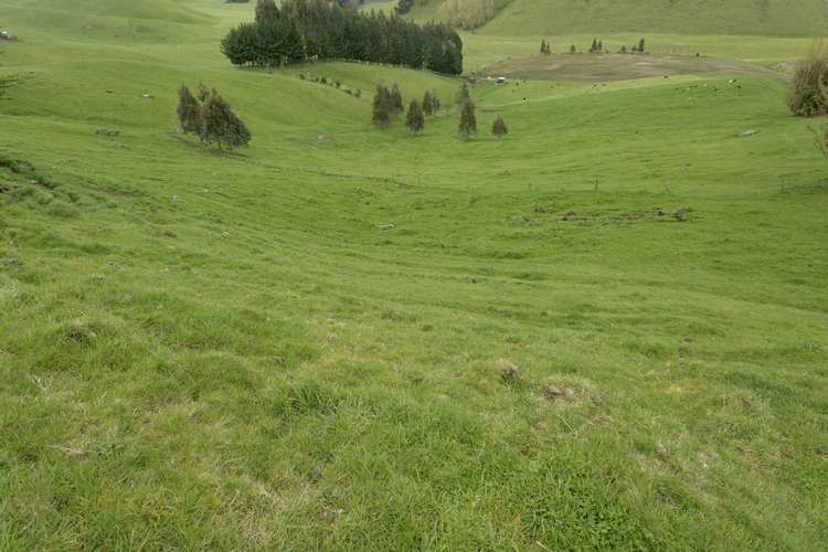 64 Oak Drive Wairakei and Surrounds_2