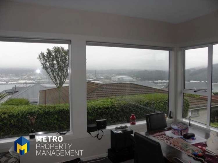 33 Dunrobin Street Waverley_9