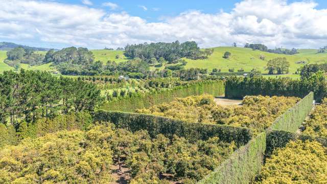 25 Orua Lane Whenuakite_3