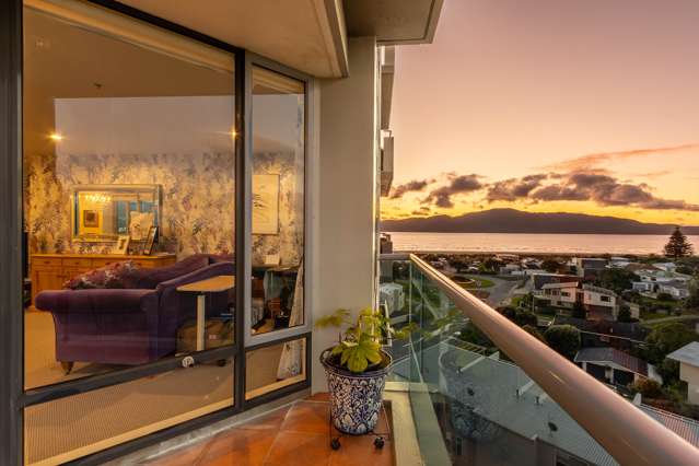 Birds Eye View Over Kapiti