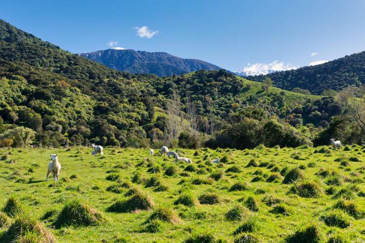 53 Grange Road Kaikoura_11