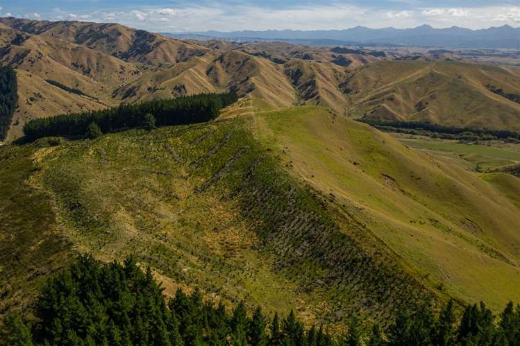 793 Taylor Pass Road Taylor Pass_17