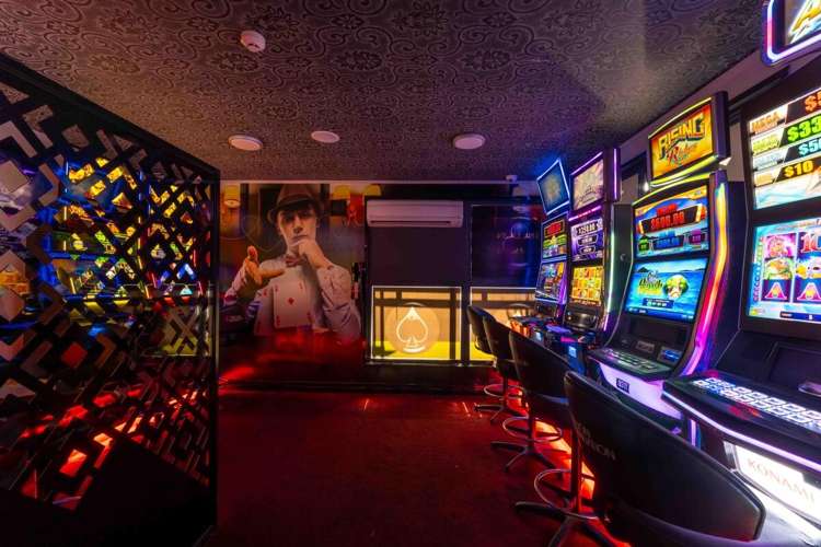 58 Collingwood Street Nelson City_13