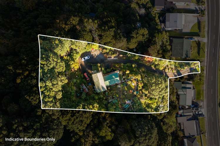 642 Thames Coast Road Waiomu_23