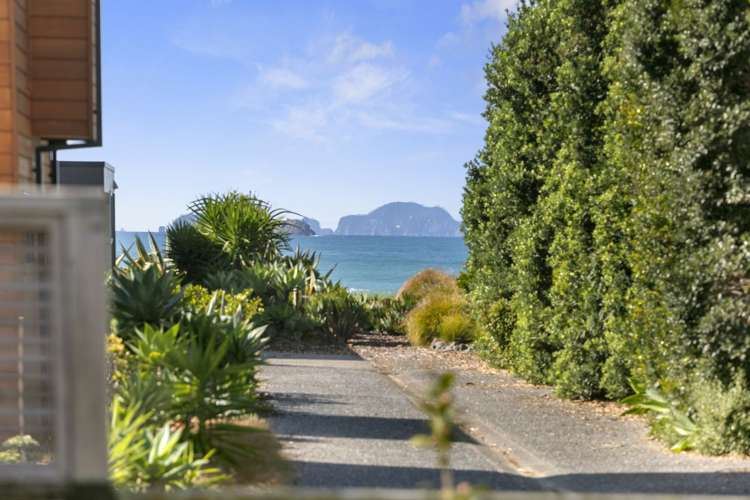 12 Justintime Pauanui_22