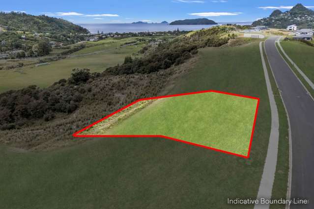 Elevated Coastal Canvas in Tairua