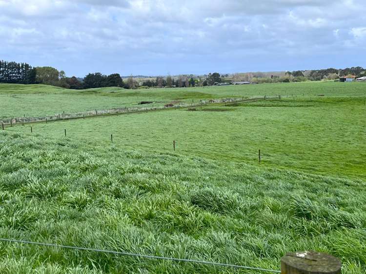 78 Brandon Hall Road Bulls_12