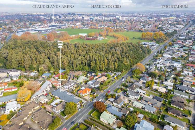 5/60 Boundary Road Claudelands_9