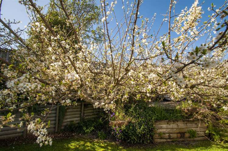 51 Splitt Avenue Glenview_18